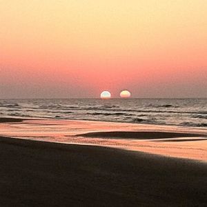 Meet your Posher, Suzanne